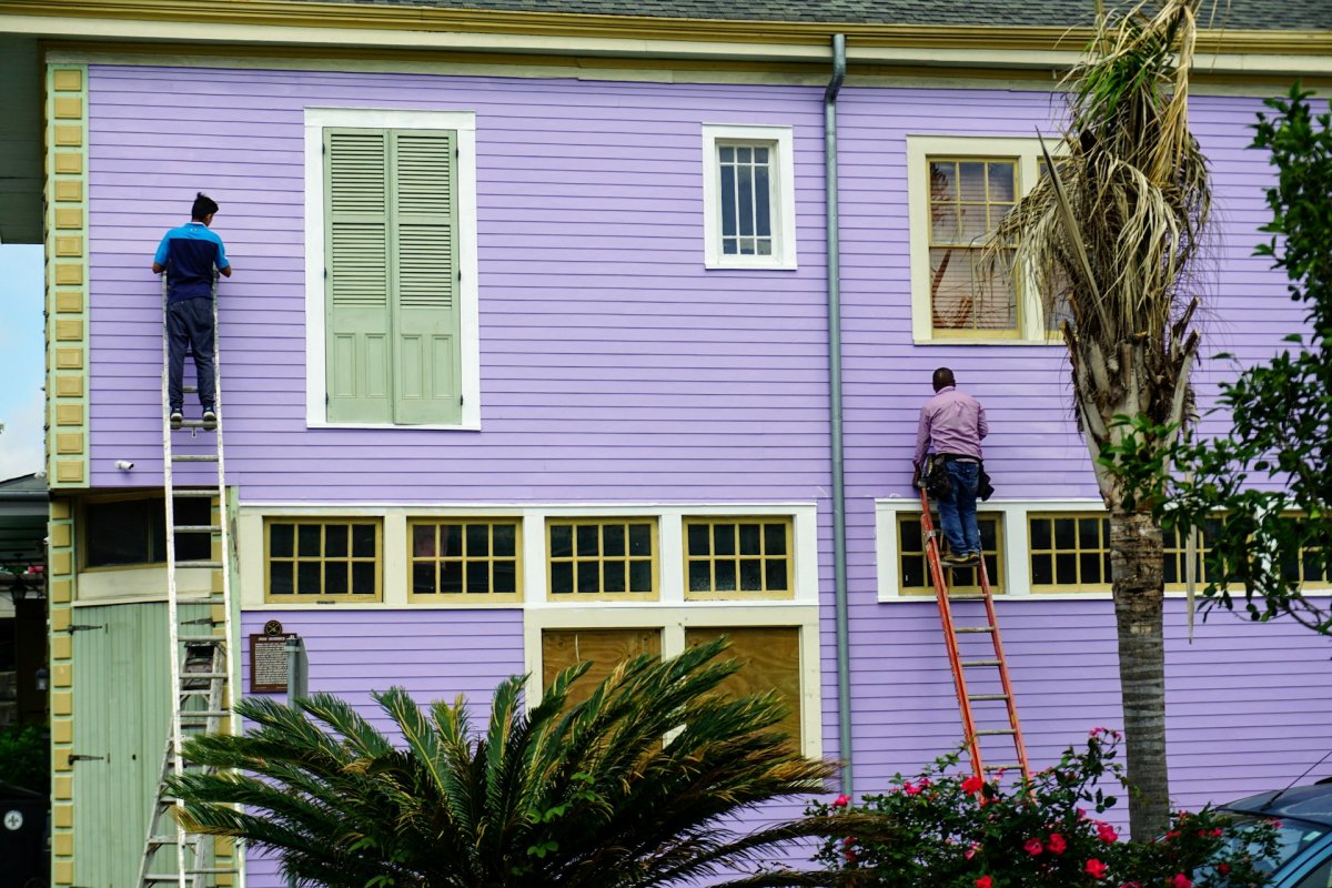  Painting in Port Moody That Gives Your Home a Soft, Fresh Look 